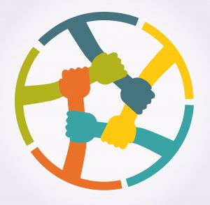 Die neue Team Webseite